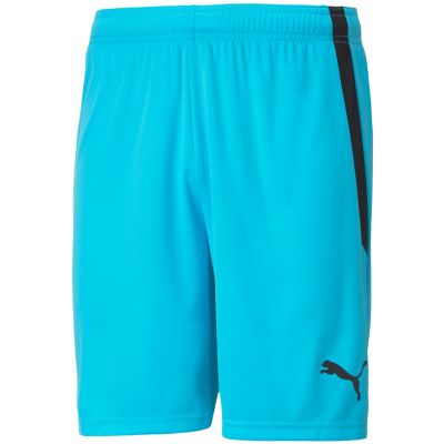 3. Puma teamLIGA M 704924 40 Shorts