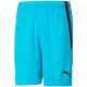 3. Puma teamLIGA M 704924 40 Shorts