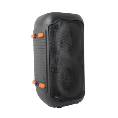 17. ESPERANZA LAUTSPRECHER BT FM LED RGB KARAOKE SINGER EP156