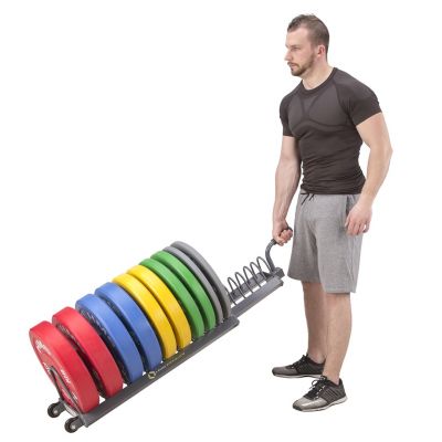 2. HMS Premium WPT01 Gewichtswagen