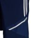 3. Adidas Condivo 22 Downtime M Shorts HA6265