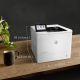9. HP LaserJet Enterprise M612dn, Drucken, Duplexdruck