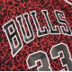 3. Mitchell & Ness NBA Chicago Bulls Scottie Pippen Trikot Swingman
