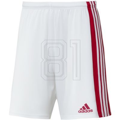 Shorts adidas Squadra 21 Jr GN5763