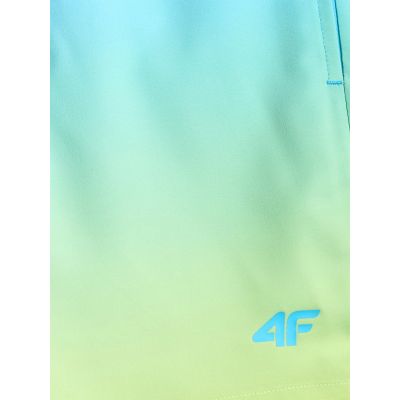 8. Herren-Boardshorts 4F 4FRSS26UBDSM224-31S