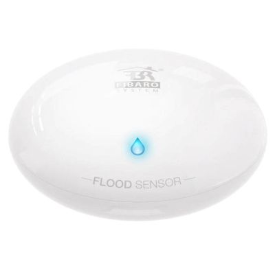 Nice Flood-Control Hochwasser- und Temperatursensor (FGFS-101 ZW5 EU)