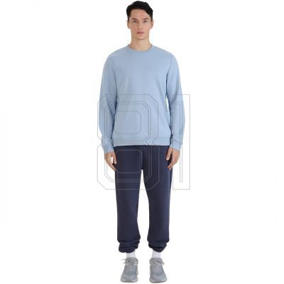 5. Sweatshirt 4F M1622 M 4FWSS25TSWSM1622 34S