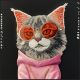 6. Nimmy Glasses Cool Cat Hülle für iPhone 17 - Schwarz