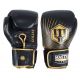 MASTERS GOLIAT Leder-Boxhandschuhe 14 oz – RBT-14G (NEU)