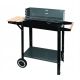 MASTER RECHTECKIGER GRILL MG909