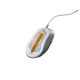 9. Glorious Gaming Glorious Model D 2 Gaming-Maus - weiß