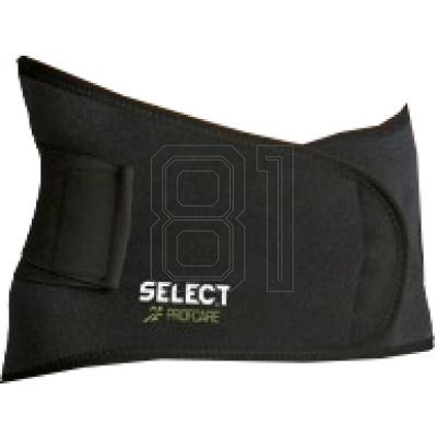 Select 6411 Lendenwirbelstütze mit Orthese