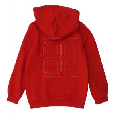 2. Puma DCT Hoodie Jr 849258 Sweatshirt 11