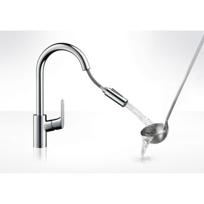 3. Hansgrohe Focus M41 Küchenarmatur mit Ausziehbrause