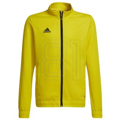 6. Adidas Entrada 22 Track Jr Sweatshirt HI2139