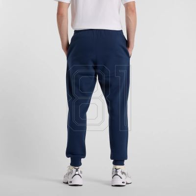 2. New Balance Sport Graphic Fleece Jogger Pants M MP51940NNY