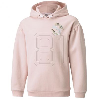 Puma Alpha Hoodie FL Jr Sweatshirt 589232 36