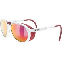 Uvex MTN Classic P Multisportbrille Vollrand Weiß