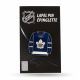 Inglasco NHL Jersey-Ansteckpin