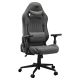3. COUGAR CGR-EPF-ROG Universeller Gaming-Stuhl Grau