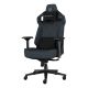 2. Gaming-Stuhl GENESIS NFG-2245 mit gepolsterter Sitzfläche