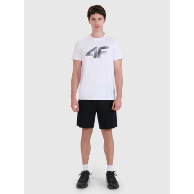 4. Herren T-Shirt 4F 4FWMM00TTSHM2257-10S
