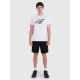 4. Herren T-Shirt 4F 4FWMM00TTSHM2257-10S