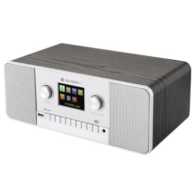 8. GoGen IR 257 BTDAB Digital Internet Silber