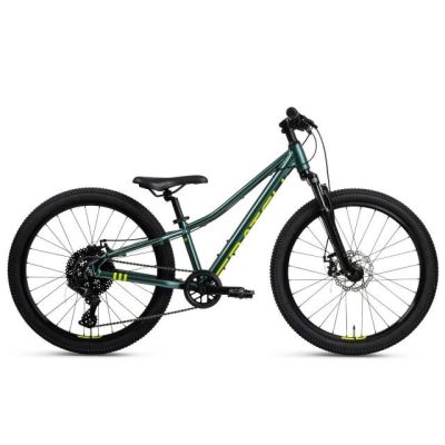 Batch Alu KM 24” Fahrrad in Fichtengrün (B375155W)