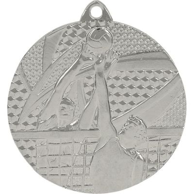 3. Silbermedaille - Volleyball