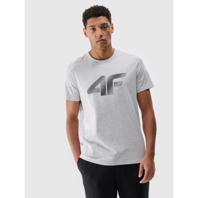 Herren T-Shirt 4F 4FWMM00TTSHM2257-27M