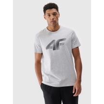 Herren T-Shirt 4F 4FWMM00TTSHM2257-27M