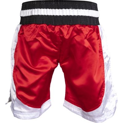 7. TOP TEN Kick Light Shorts (WAKO-GENEHMIGT)