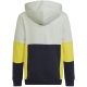 8. Adidas Colourblock Hoodie Jr HN8567 Sweatshirt