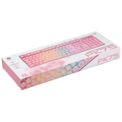 4. Deltaco Gaming GAM-021-RGB-P-DE USB-Tastatur QWERTZ Deutsch Pink
