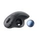 3. Logitech ERGO M575 Business-Büromaus, kabellos (RF) + Bluetooth-Trackball, 2000 DPI
