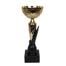 Der Triumph Cup von 1898