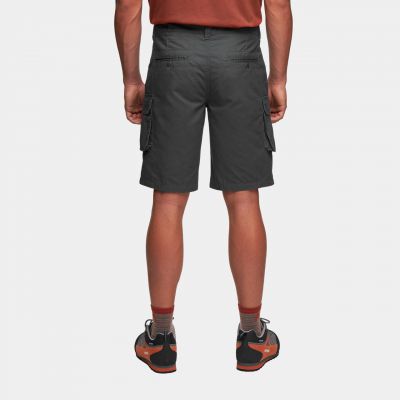 10. Alpinus Askja M SI18159 Shorts