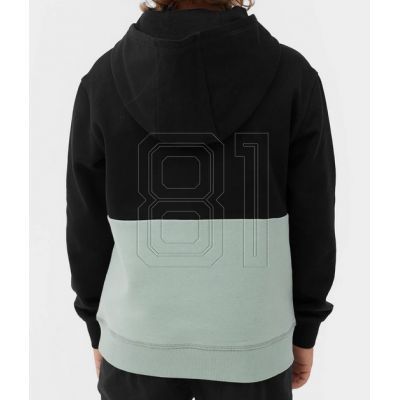 2. Sweatshirt 4F Jr 4FJAW23TSWSM628-47S