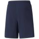 5. Puma teamLIGA M 704924 06 Shorts