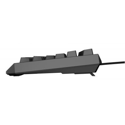 11. GENESIS Thor 230 TKL Gaming-Tastatur, USB, QWERTY, US-Englisch, Schwarz