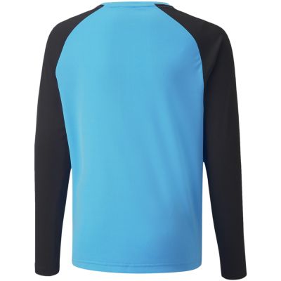 4. Puma teamPacer GK LS Trikot Jr 704939 40
