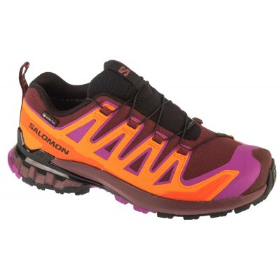 Salomon XA Pro 3D v9 GTX W L47961900 Laufschuhe