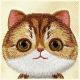 8. Nimmy Big Eyed Pet 2.0 Katzenhülle für iPhone 16 - Grün