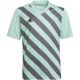 12. adidas Entrada 22 Graphic Jersey Jr HF0127