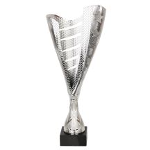 Pokal Tryumf 8502