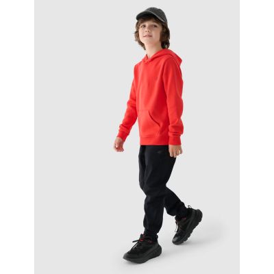 4. Jungen-Sweatshirt mit Kapuze, offen, 4F Junior 4FJWMM00TSWSM1292-70S