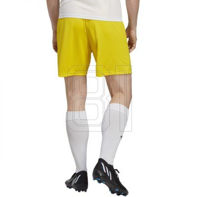 8. adidas Entrada 22 M IC7404 Shorts