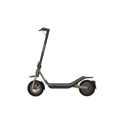 8. Xiaomi Elektroroller 6 Pro GL Schwarz 25 km/h 10 Ah