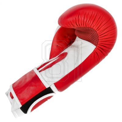 18. MASTERS RBT-TRW 01210-02 Leder-Boxhandschuhe